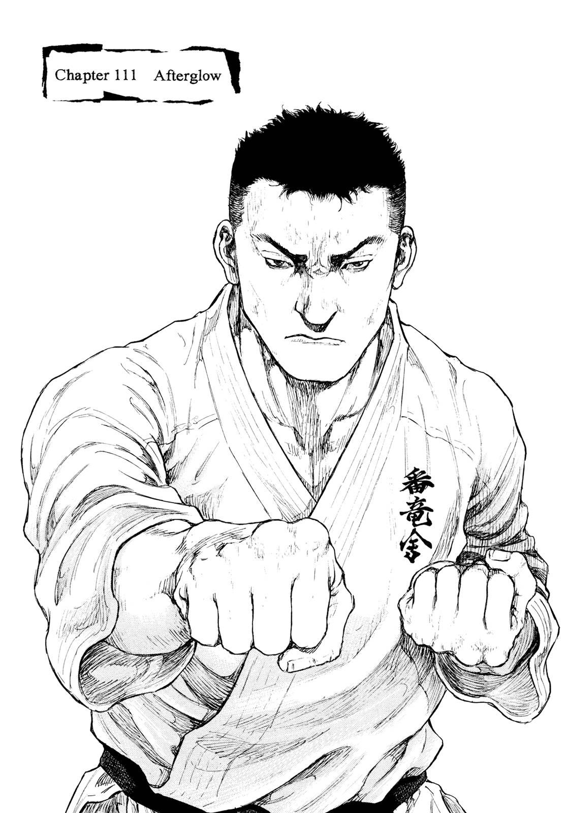 Shamo Chapter 311 - Picture 1