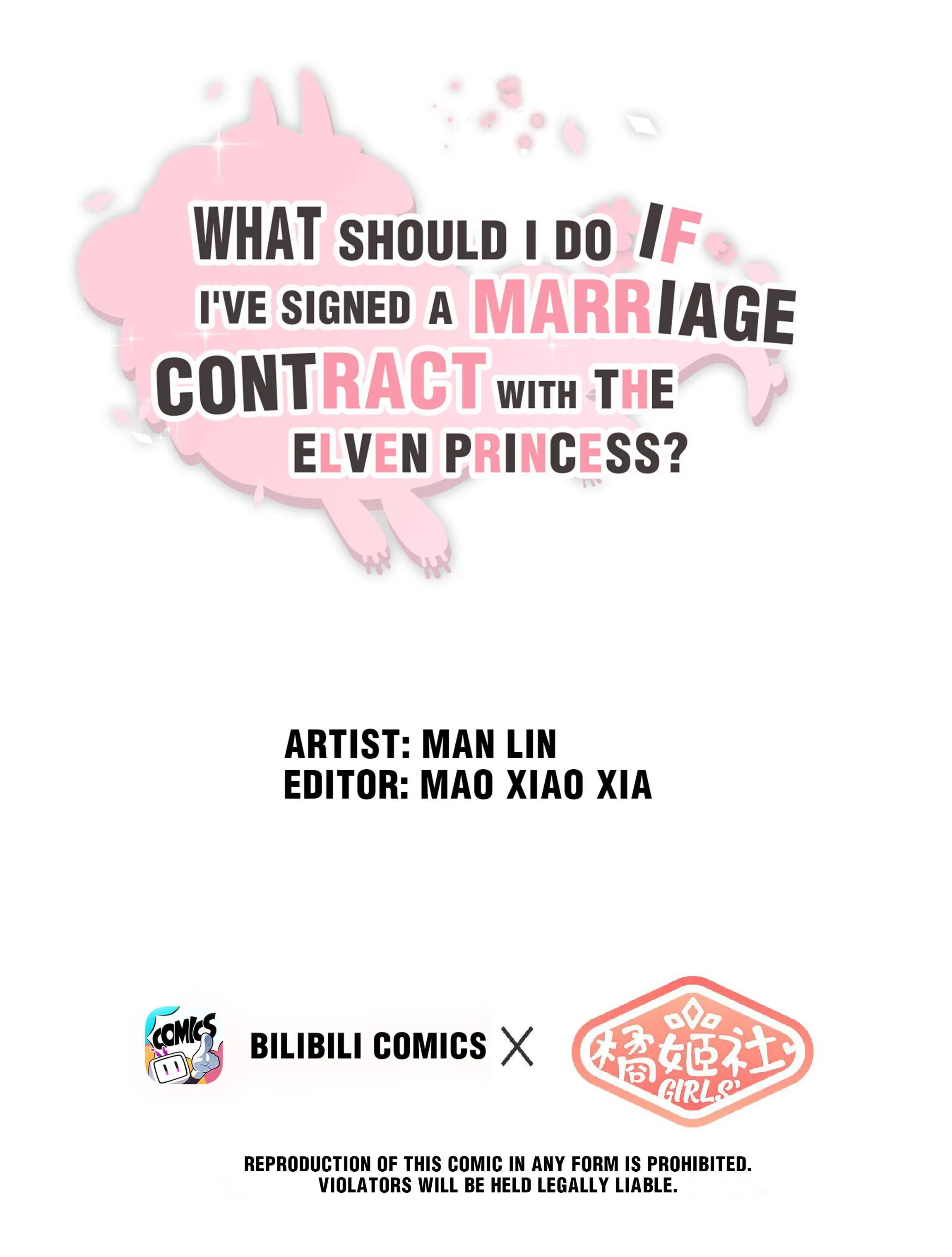 What Do I Do If I Signed A Marriage Contract With The Elf Princess? Chapter 16 - Picture 1