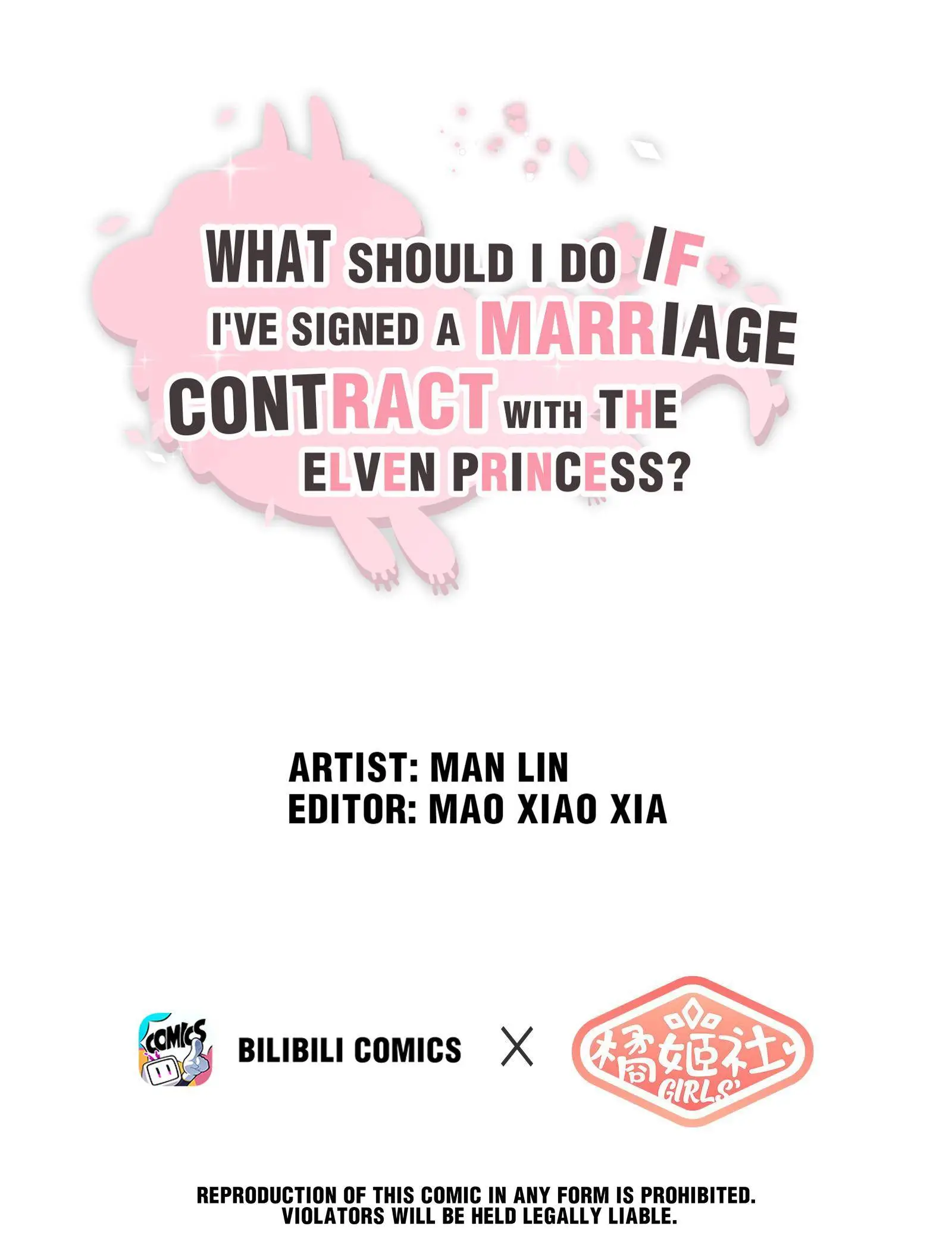 What Do I Do If I Signed A Marriage Contract With The Elf Princess? Chapter 12 - Picture 1