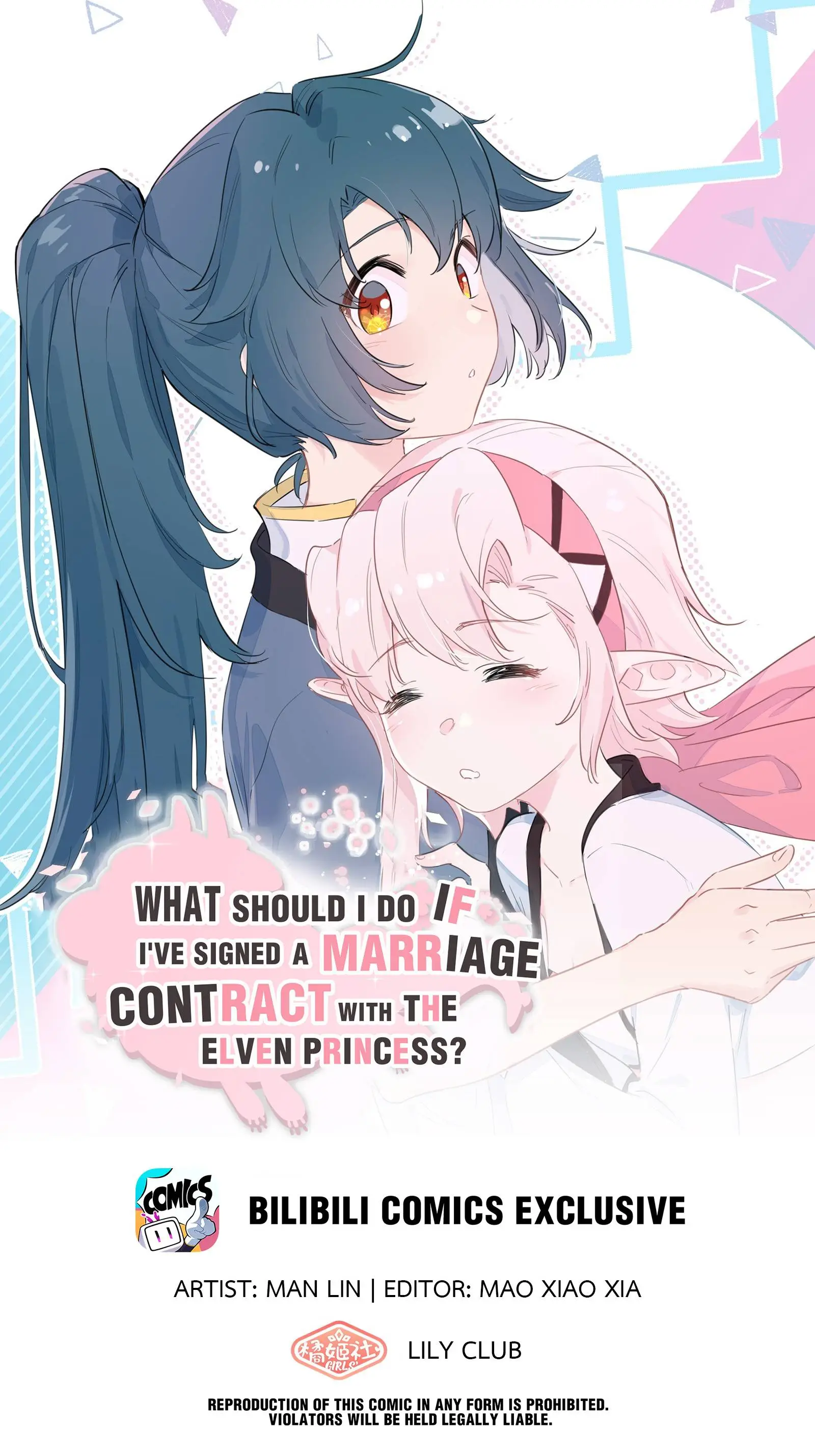 What Do I Do If I Signed A Marriage Contract With The Elf Princess? Chapter 77 - Picture 1