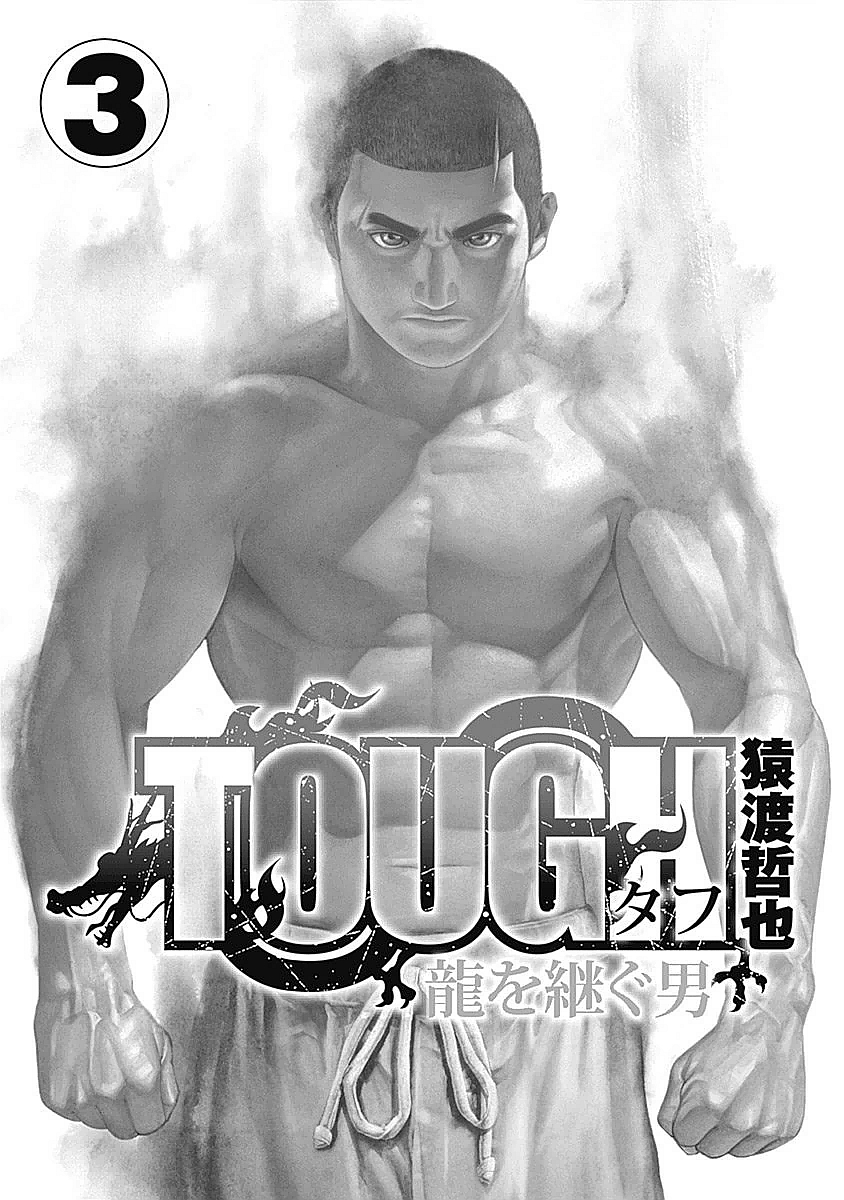 Tough Gaiden - Ryuu Wo Tsugu Otoko Vol.3 Chapter 24: Sannen Goroshi - Picture 3