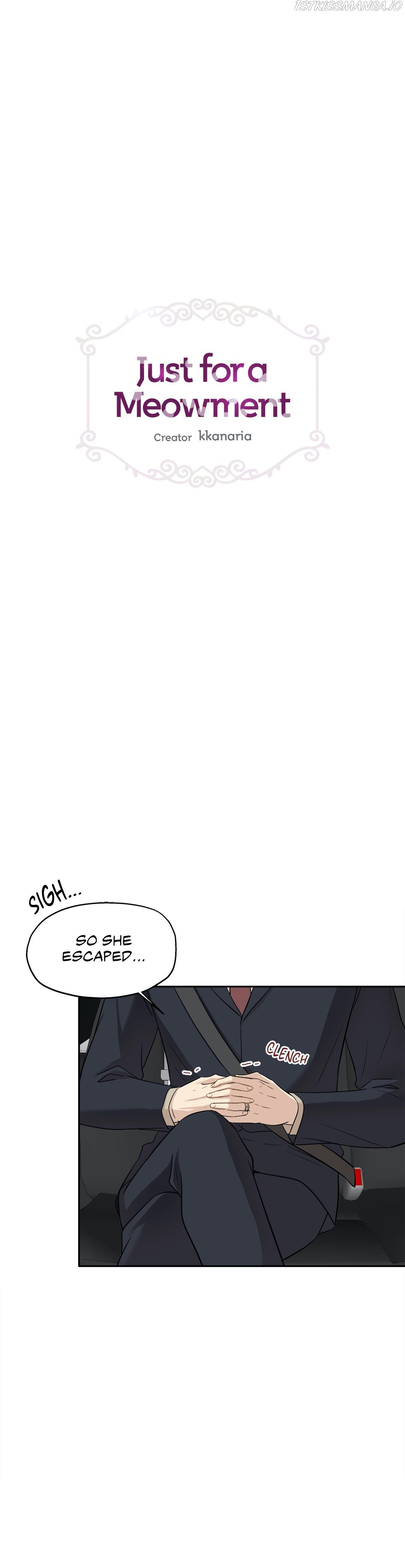 Just For A Meowment Chapter 95 - Picture 1