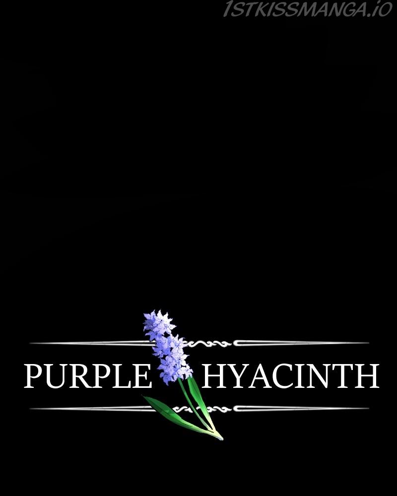 Purple Hyacinth - Page 2