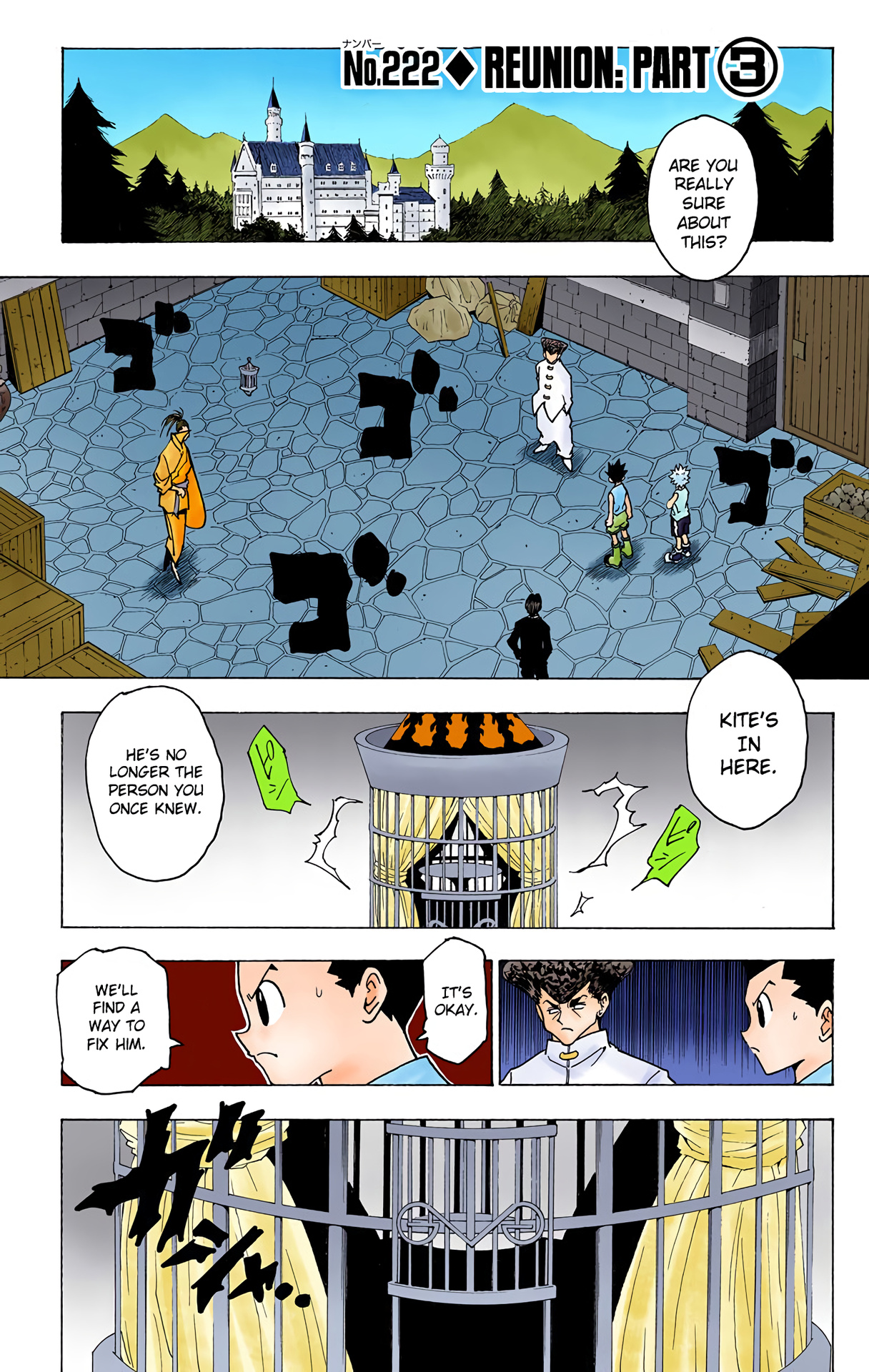Hunter X Hunter Full Color Vol.21 Chapter 222: Reunion: Part 3 - Picture 1