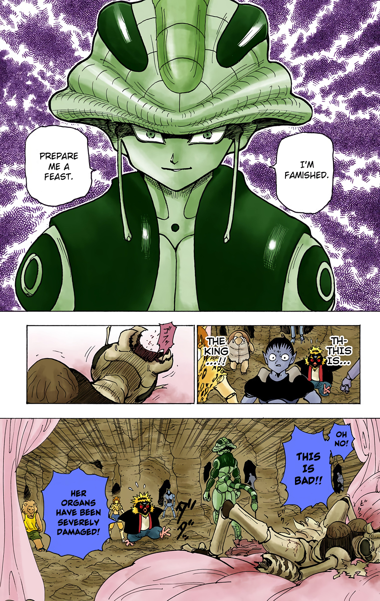 Hunter X Hunter Full Color Vol.21 Chapter 213: Birth - Picture 3