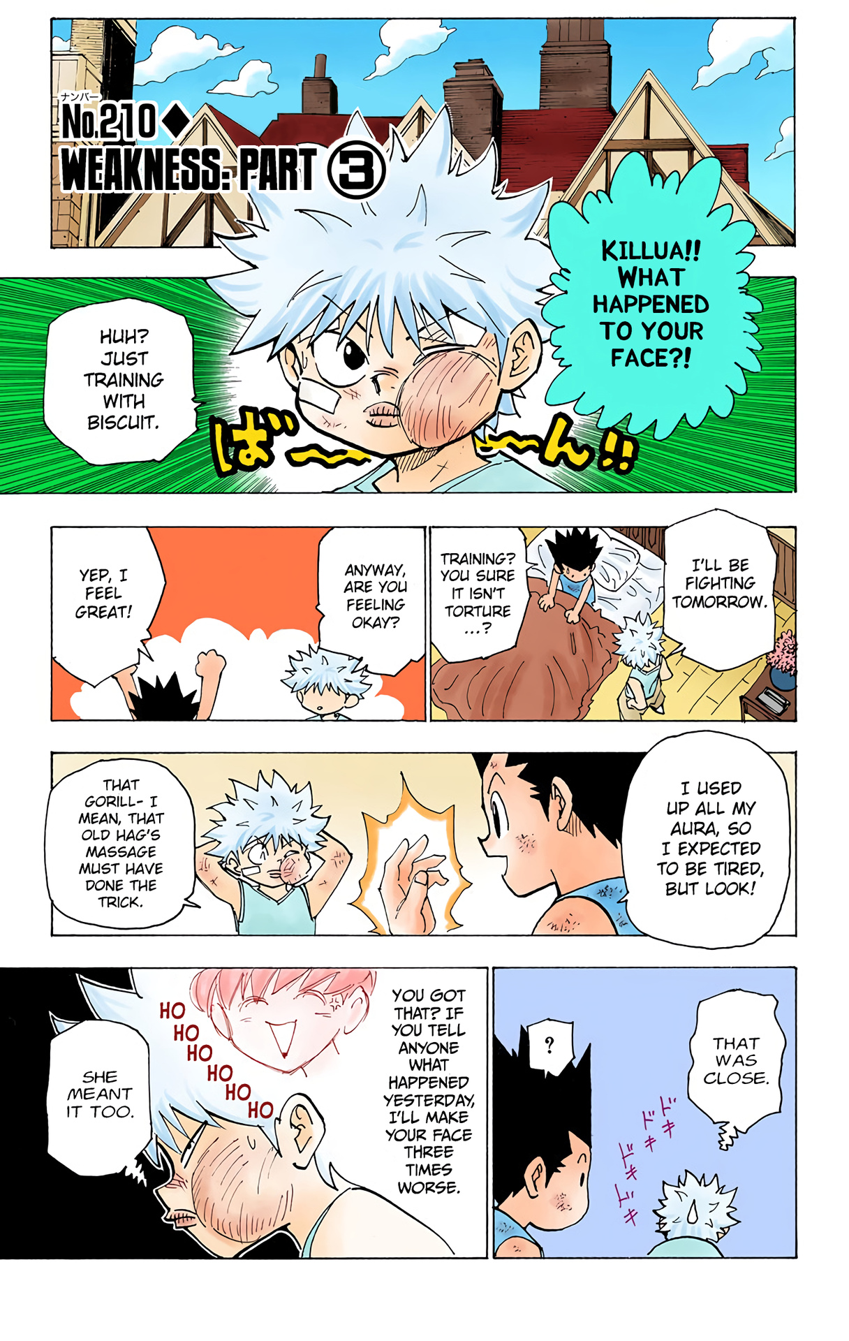Hunter X Hunter Full Color Vol.20 Chapter 210: Weakness: Part 3 - Picture 1