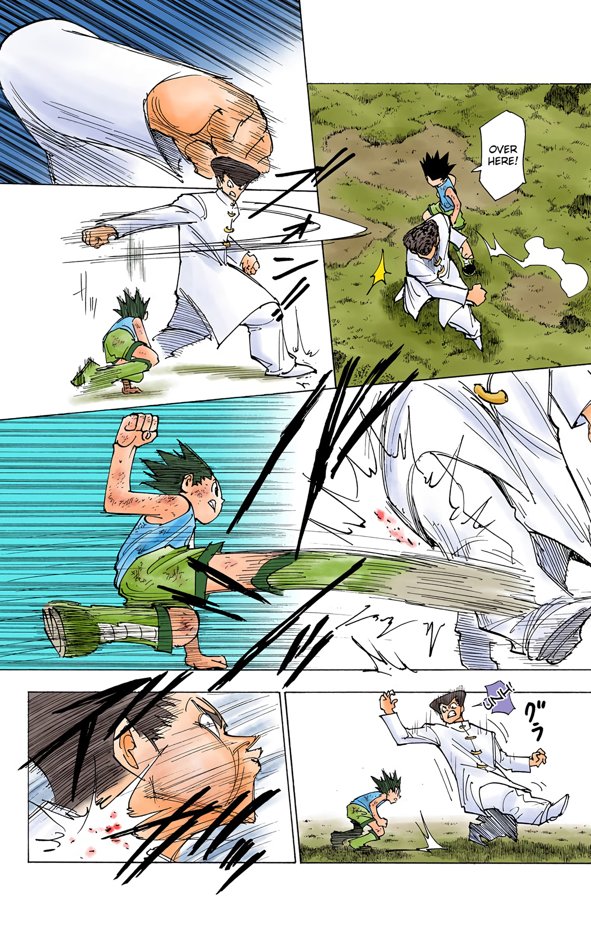 Hunter X Hunter Full Color Vol.20 Chapter 208: Weakness: Part 2 - Picture 2