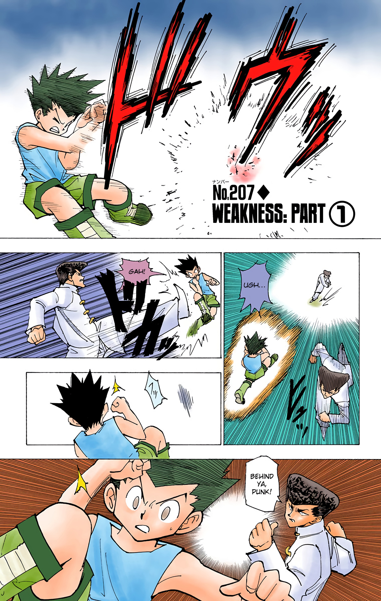Hunter X Hunter Full Color Vol.20 Chapter 207: Weakness: Part 1 - Picture 1