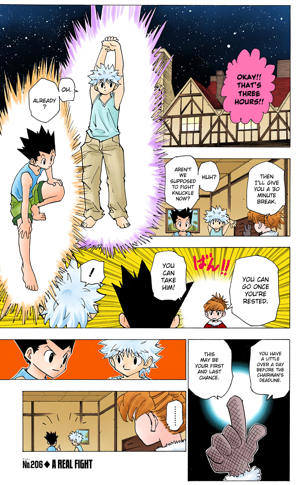 Hunter X Hunter Full Color Vol.20 Chapter 206: A Real Fight - Picture 1