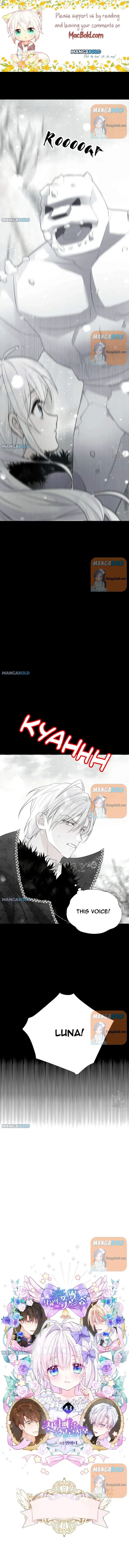 Choose Your Real Daddy Tyrant Chapter 43 - Picture 1