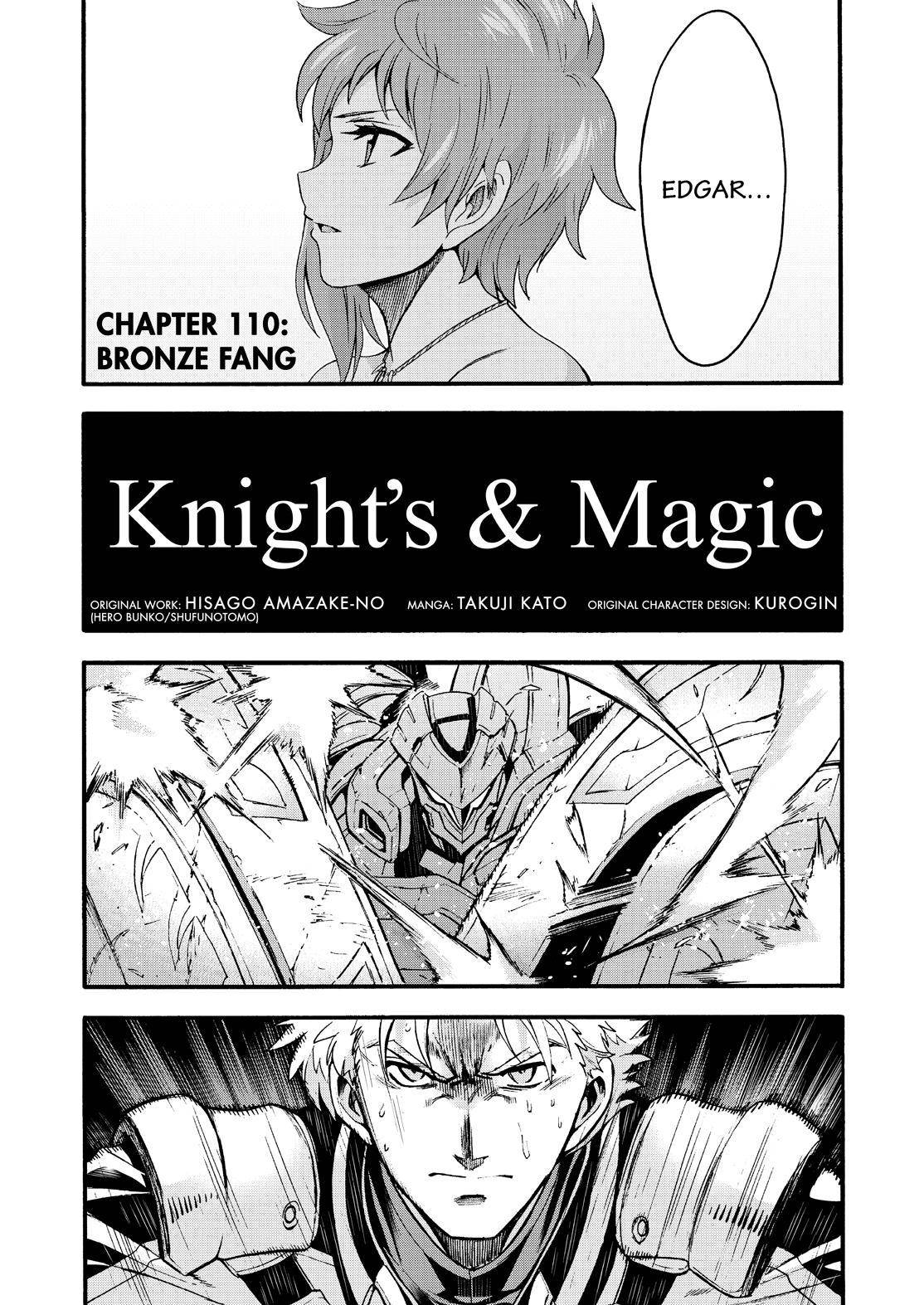 Knights & Magic Chapter 110 - Picture 3