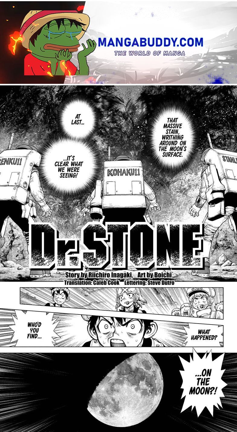 Dr. Stone Chapter 228 - Picture 1