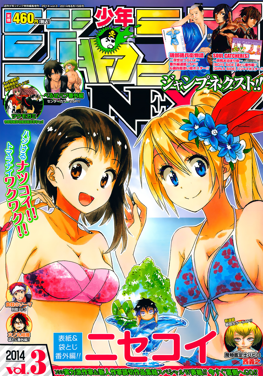 Nisekoi Chapter 133.1 - Picture 2