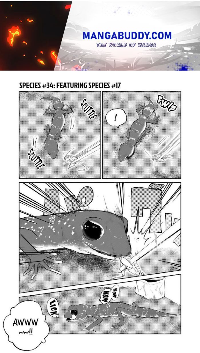 Secret Reptiles - Page 1