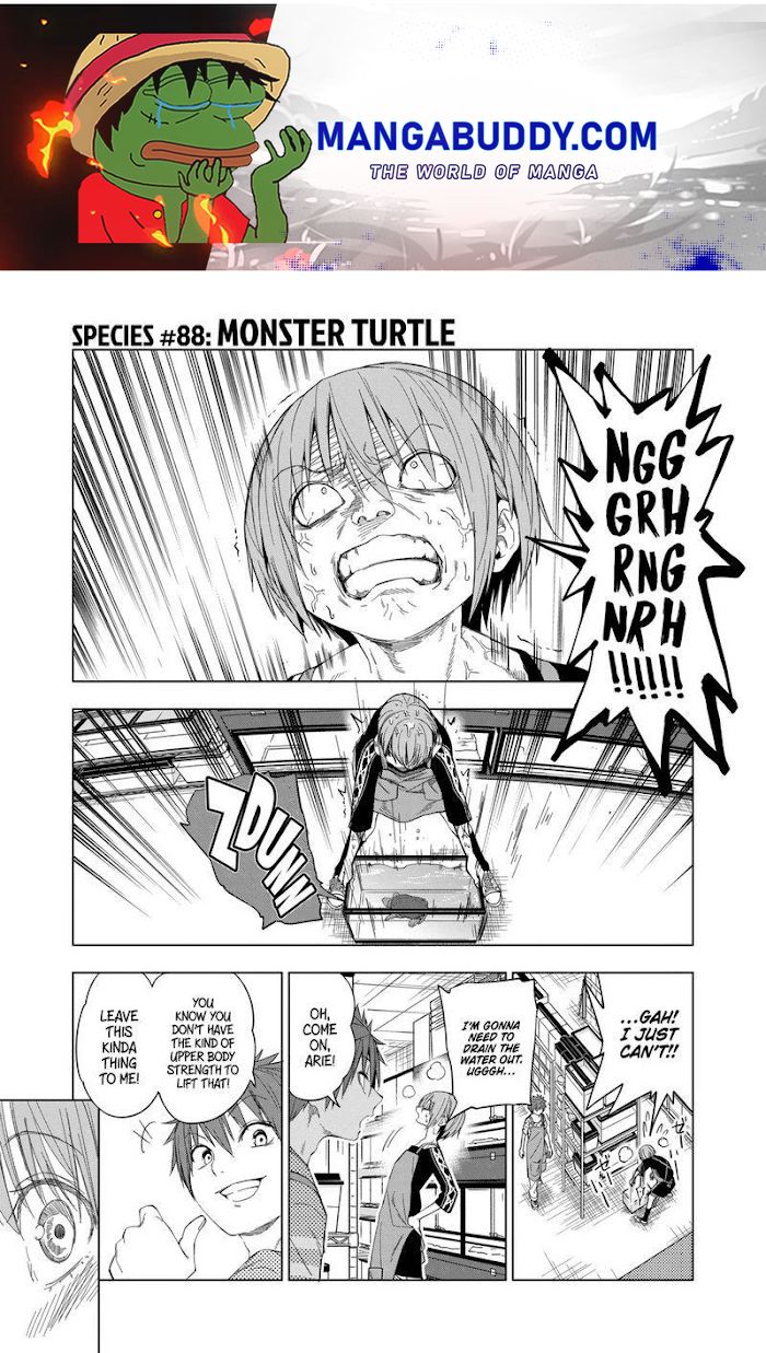 Secret Reptiles - Page 1