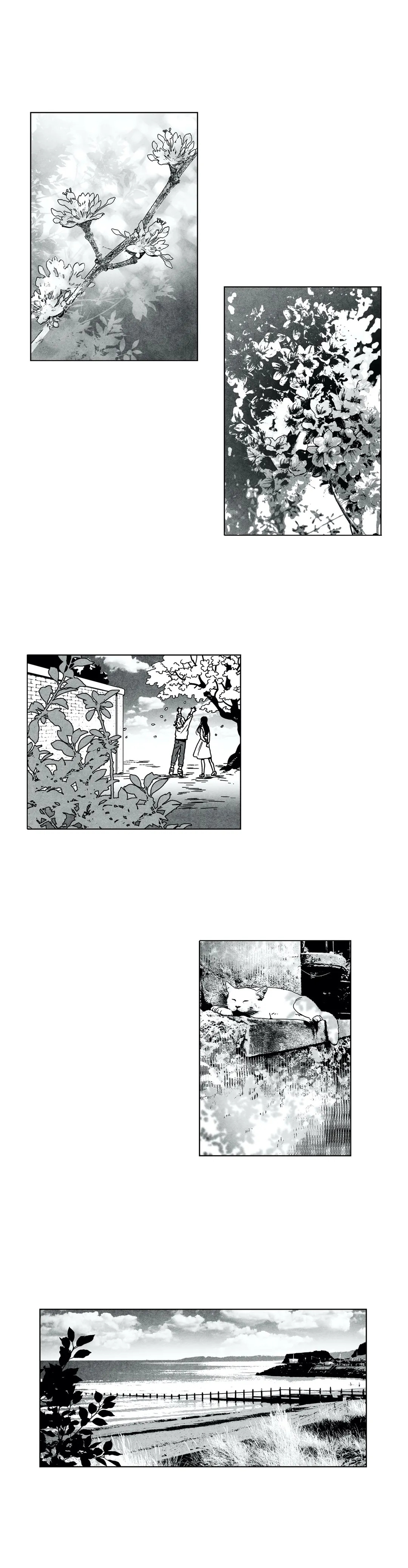 A Country Of Maestri Vol.10 Chapter 190: A Country Of Maestri - 46 - Picture 2