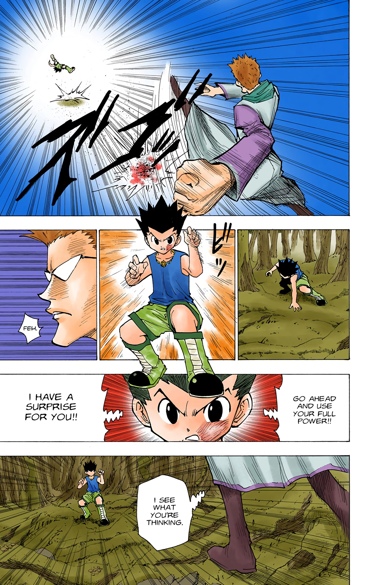 Hunter X Hunter Full Color Vol.18 Chapter 177: Three-Way Struggle: Part 8 - Picture 3