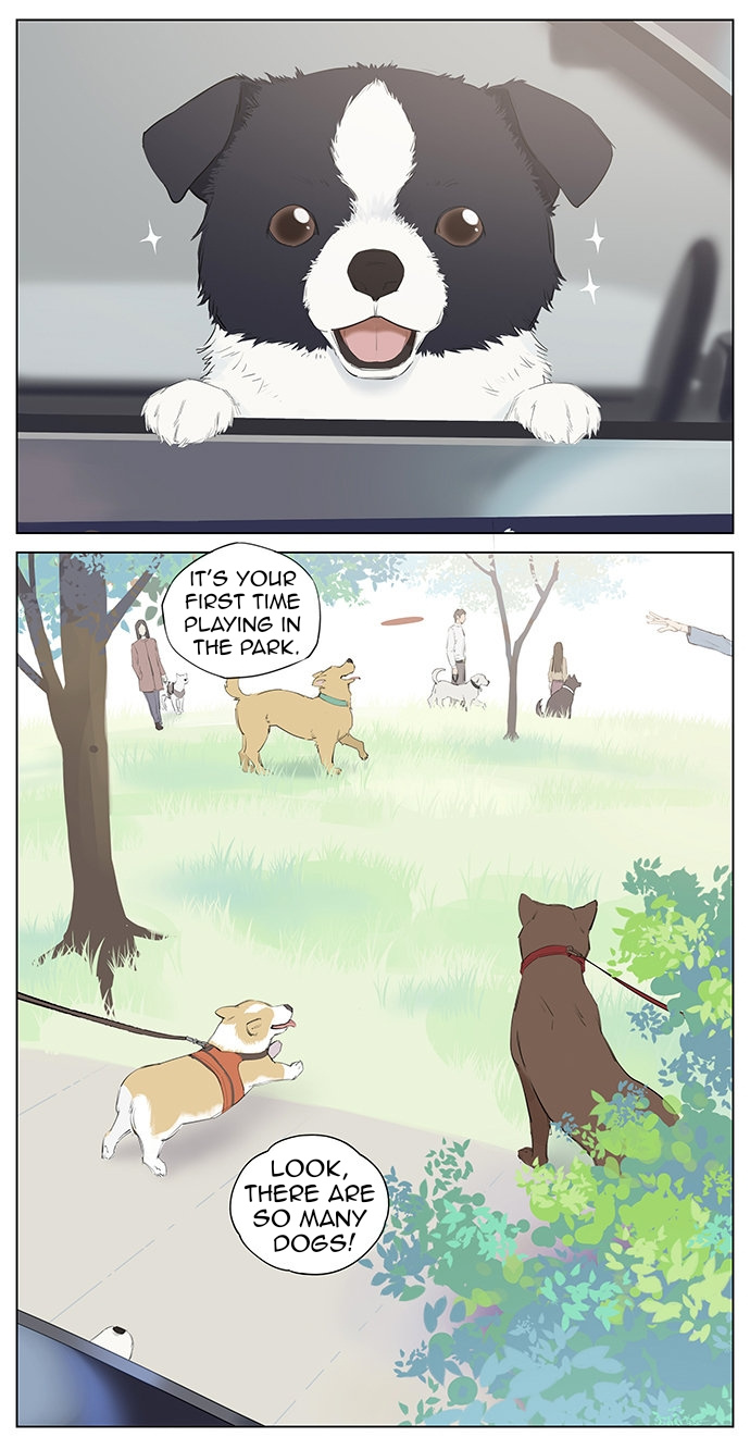 Aman's Animal Tales - Page 1