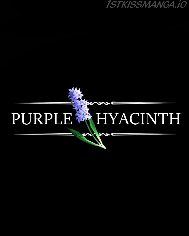 Purple Hyacinth - Page 2
