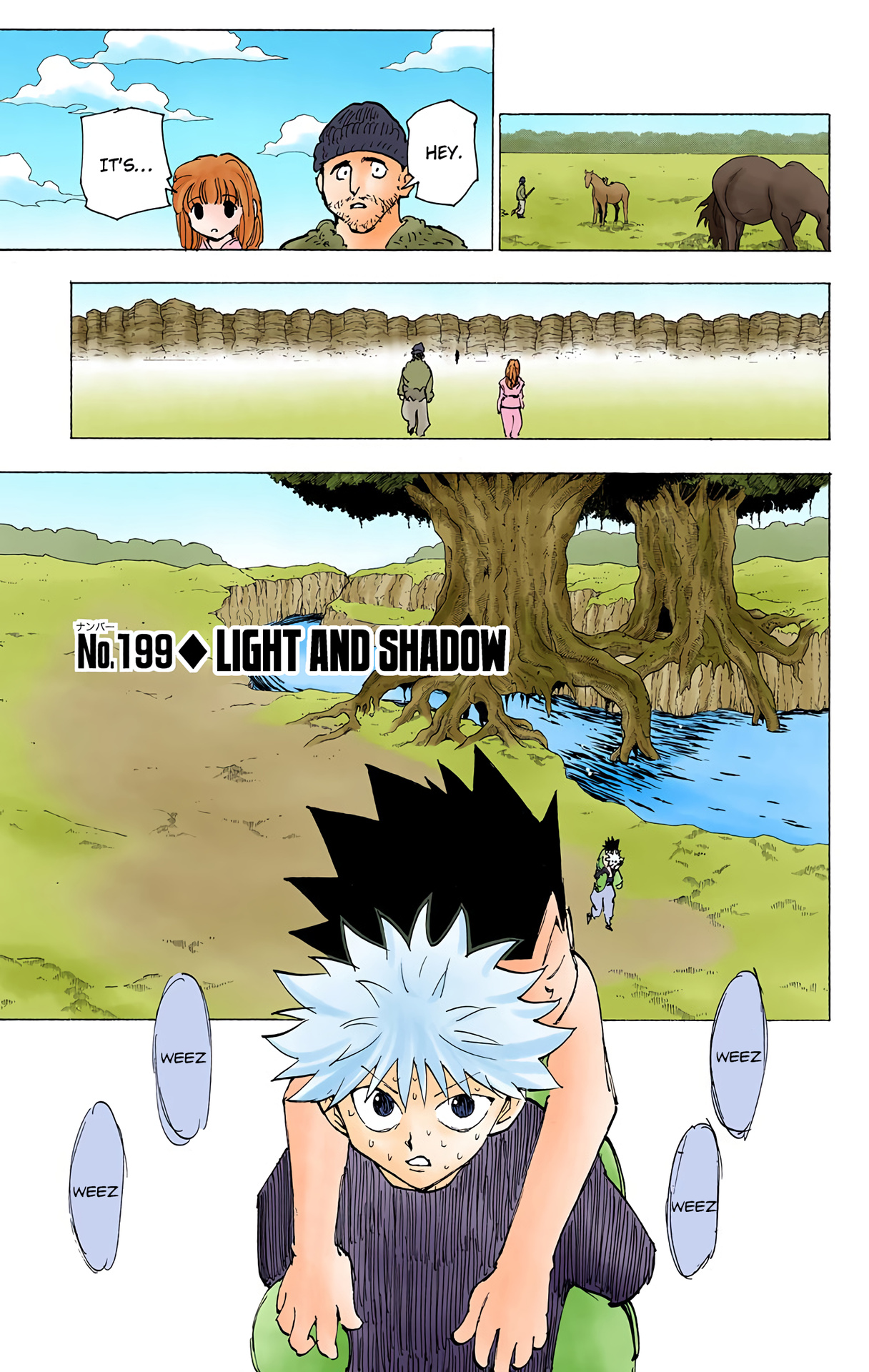 Hunter X Hunter Full Color Vol.19 Chapter 199: Light And Shadow - Picture 1