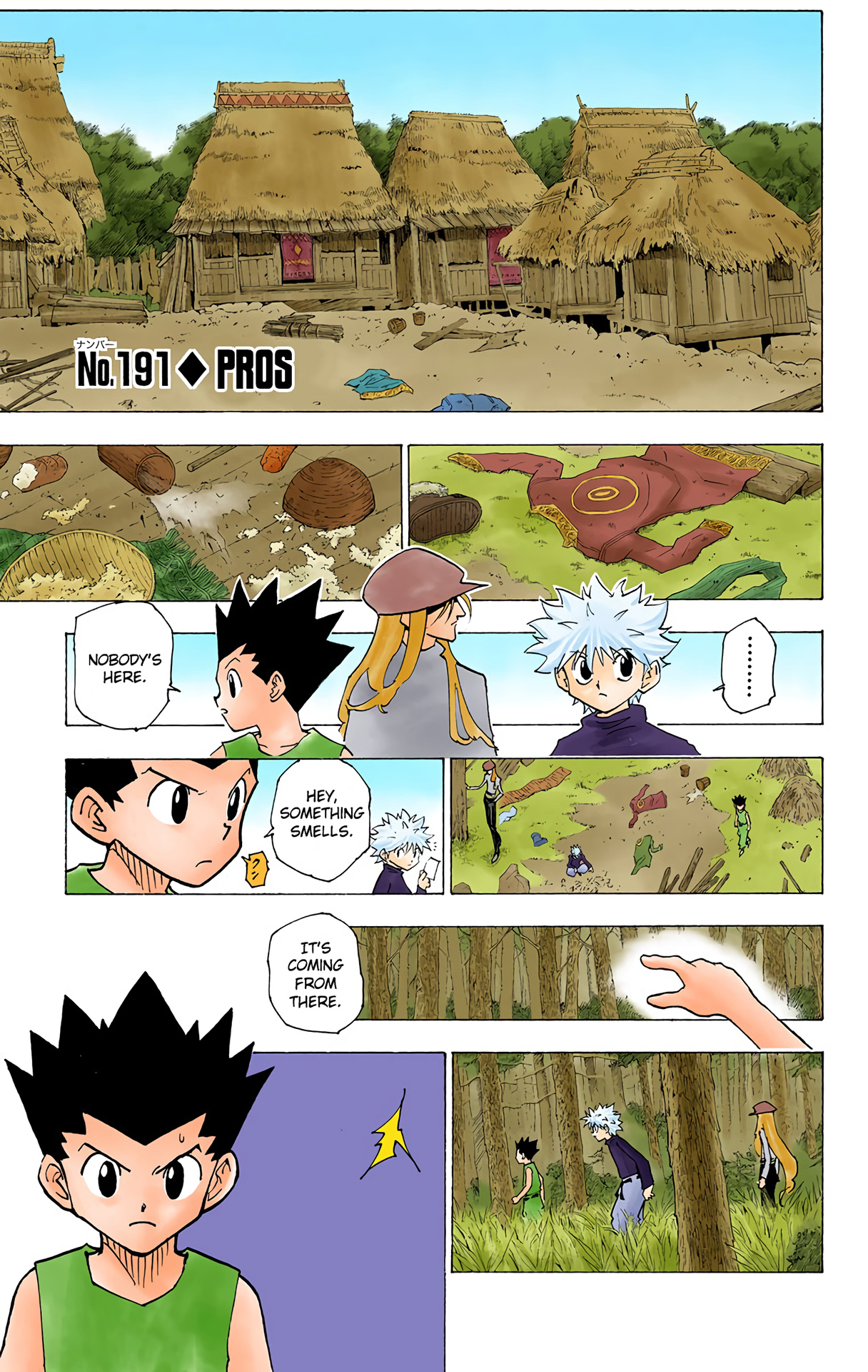 Hunter X Hunter Full Color Vol.19 Chapter 191: Pros - Picture 1