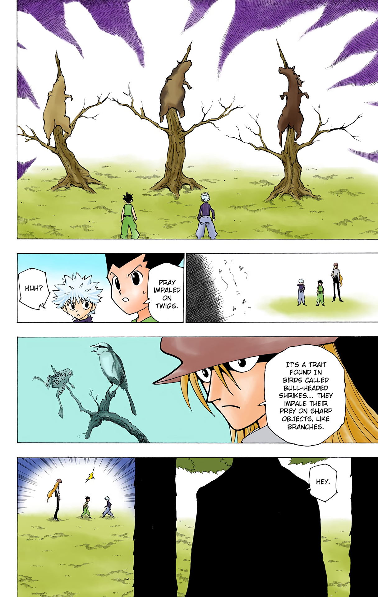 Hunter X Hunter Full Color Vol.19 Chapter 191: Pros - Picture 2
