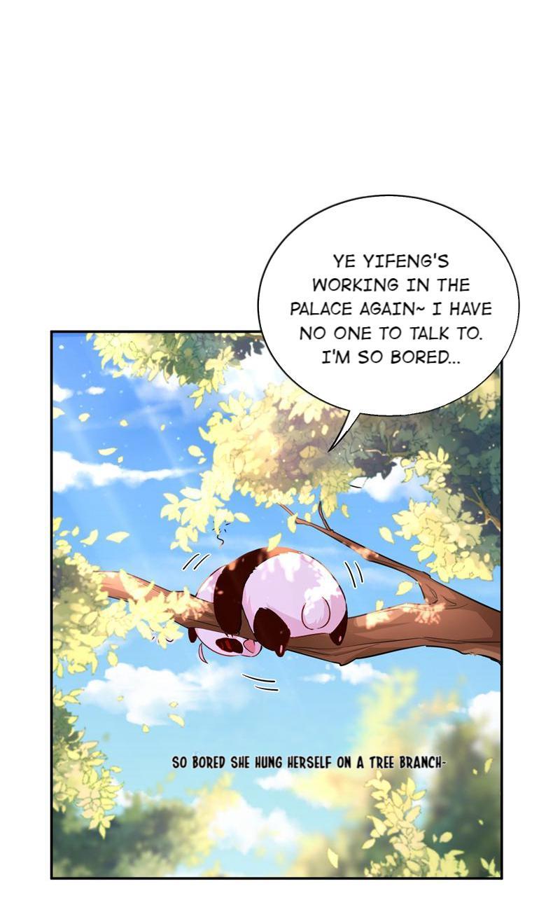 Cute Princess Strikes: The Panda From Heaven Wants Hugs - Page 2